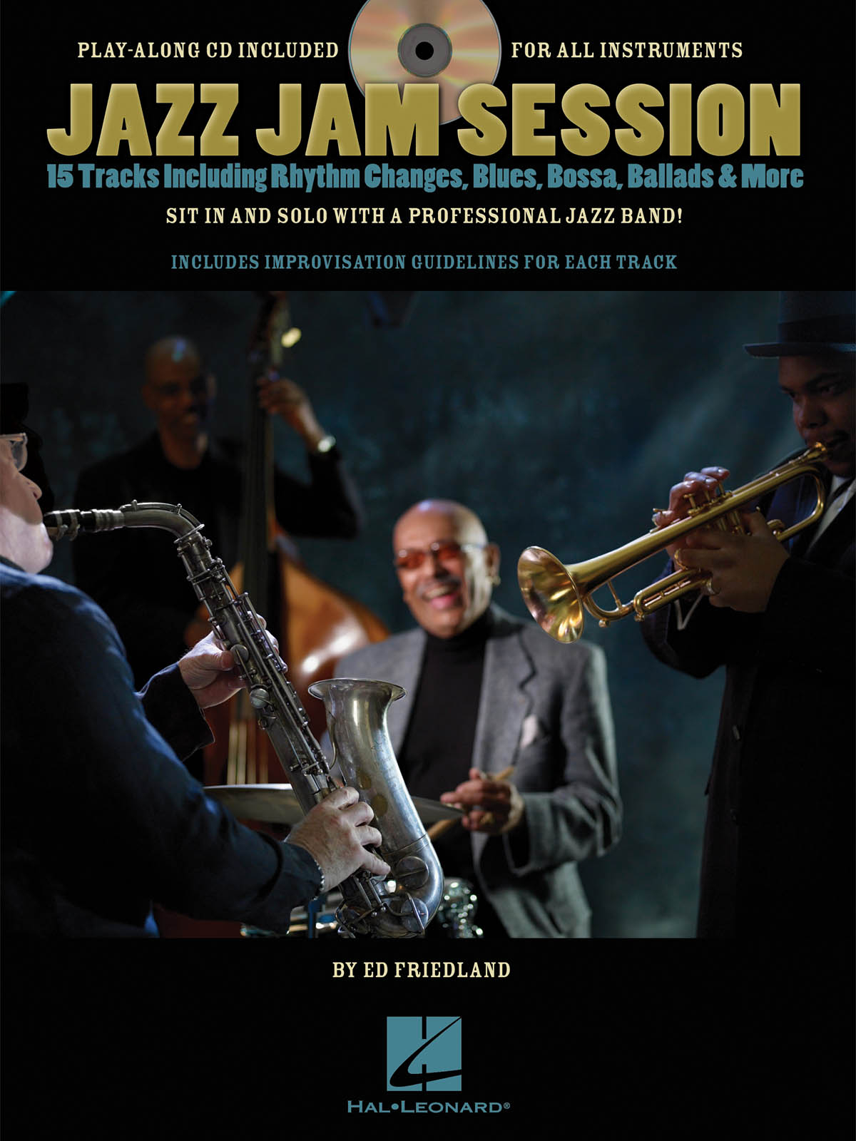 Ed Friedland: Any Instrument: Instrumental Album